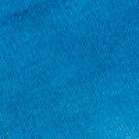 Artikelbild des Artikels “Procion® MX Farbstoff Türkis G, 100 g “